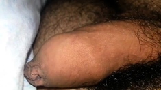 Process Erection Of My Cock In The Bed (22 Year Old)