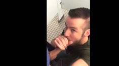 Handsome guy sucks dick in restroom stall